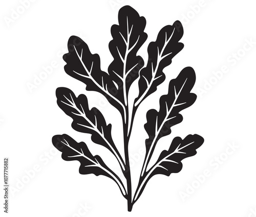 Arugula silhouette vector, Leaf silhouette icon, Arugula vegetable leaf illustration