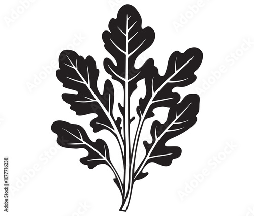 Arugula silhouette vector, Leaf silhouette icon, Arugula vegetable leaf illustration