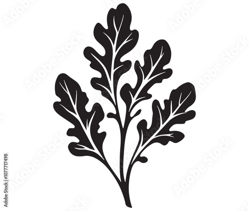 Arugula silhouette vector, Leaf silhouette icon, Arugula vegetable leaf illustration