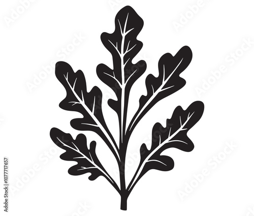 Arugula silhouette vector, Leaf silhouette icon, Arugula vegetable leaf illustration