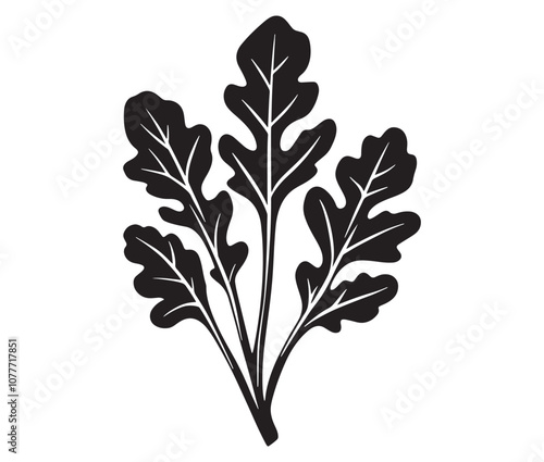 Arugula silhouette vector, Leaf silhouette icon, Arugula vegetable leaf illustration