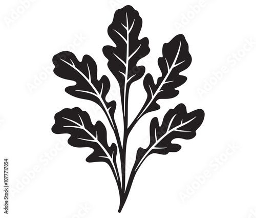 Arugula silhouette vector, Leaf silhouette icon, Arugula vegetable leaf illustration