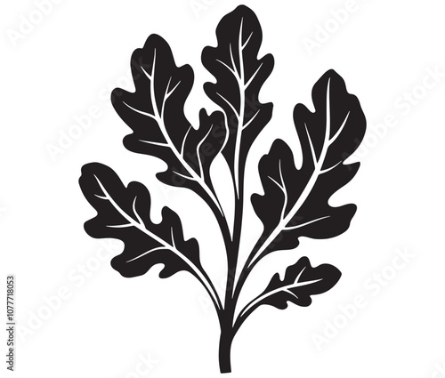 Arugula silhouette vector, Leaf silhouette icon, Arugula vegetable leaf illustration