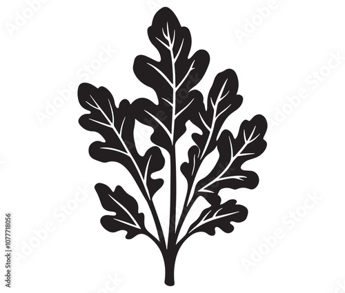 Arugula silhouette vector, Leaf silhouette icon, Arugula vegetable leaf illustration