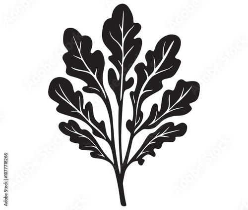 Arugula silhouette vector, Leaf silhouette icon, Arugula vegetable leaf illustration
