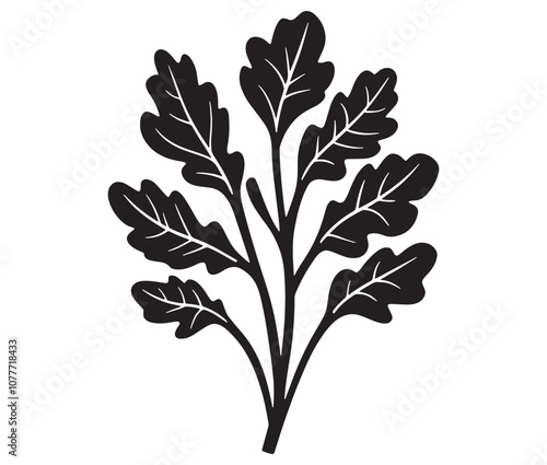 Arugula silhouette vector, Leaf silhouette icon, Arugula vegetable leaf illustration