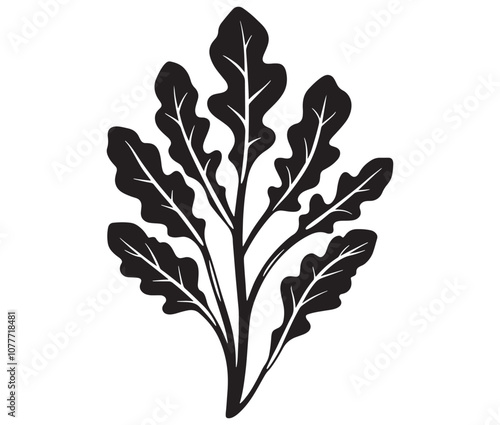 Arugula silhouette vector, Leaf silhouette icon, Arugula vegetable leaf illustration