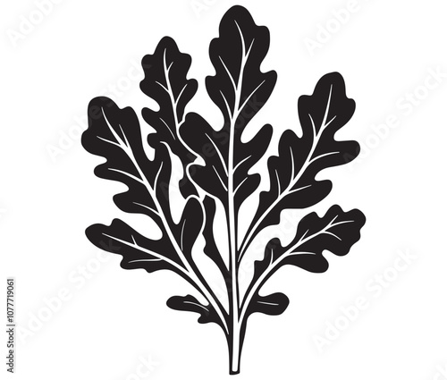 Arugula silhouette vector, Leaf silhouette icon, Arugula vegetable leaf illustration