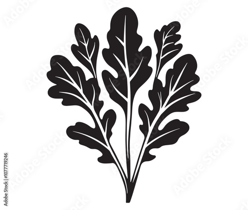 Arugula silhouette vector, Leaf silhouette icon, Arugula vegetable leaf illustration