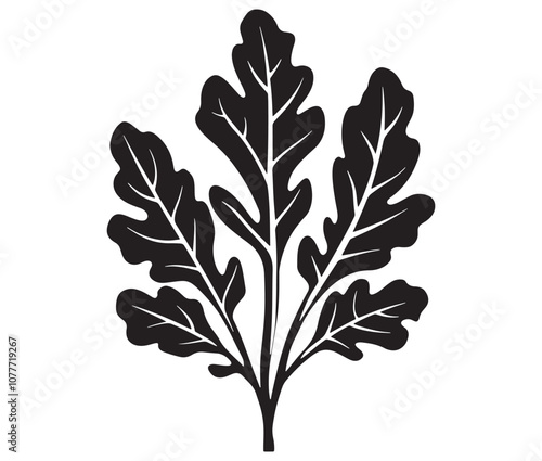 Arugula silhouette vector, Leaf silhouette icon, Arugula vegetable leaf illustration