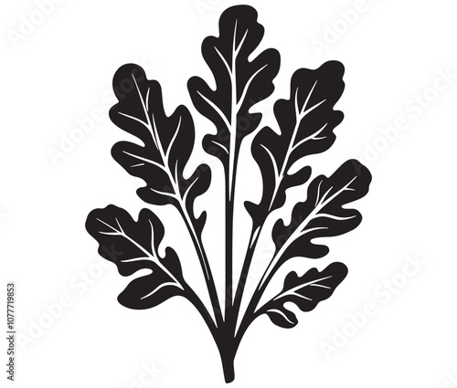 Arugula silhouette vector, Leaf silhouette icon, Arugula vegetable leaf illustration