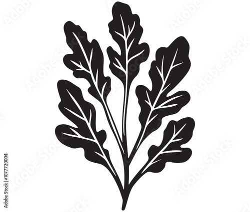 Arugula silhouette vector, Leaf silhouette icon, Arugula vegetable leaf illustration