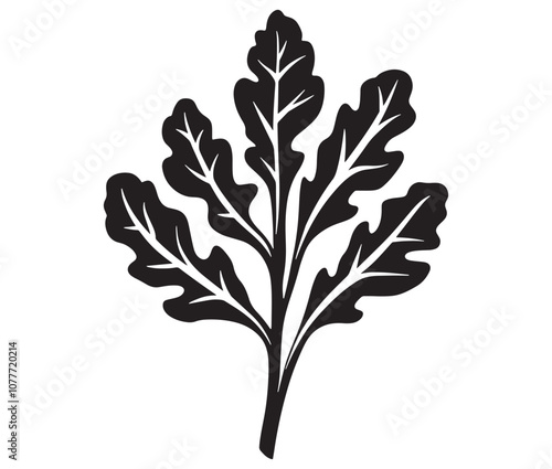 Arugula silhouette vector, Leaf silhouette icon, Arugula vegetable leaf illustration