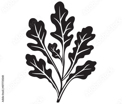 Arugula silhouette vector, Leaf silhouette icon, Arugula vegetable leaf illustration