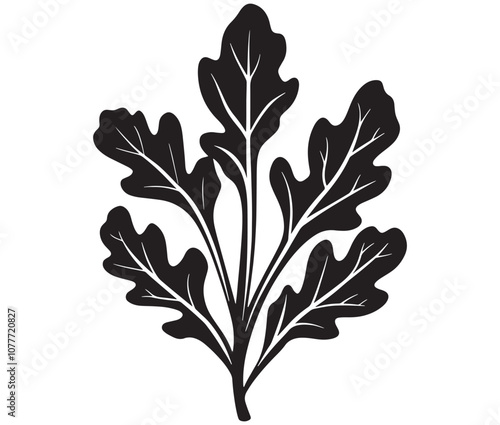 Arugula silhouette vector, Leaf silhouette icon, Arugula vegetable leaf illustration