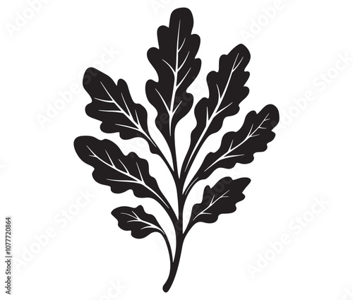 Arugula silhouette vector, Leaf silhouette icon, Arugula vegetable leaf illustration