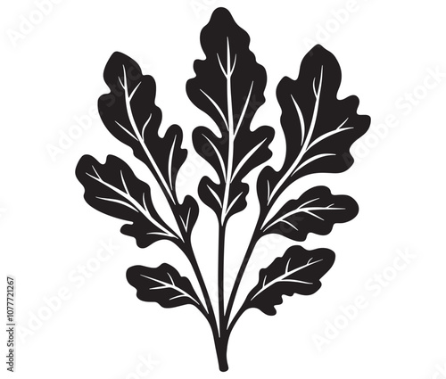 Arugula silhouette vector, Leaf silhouette icon, Arugula vegetable leaf illustration