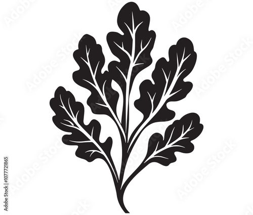 Arugula silhouette vector, Leaf silhouette icon, Arugula vegetable leaf illustration