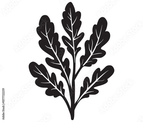 Arugula silhouette vector, Leaf silhouette icon, Arugula vegetable leaf illustration