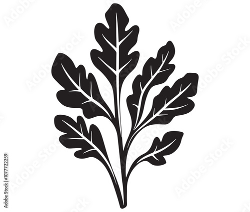 Arugula silhouette vector, Leaf silhouette icon, Arugula vegetable leaf illustration