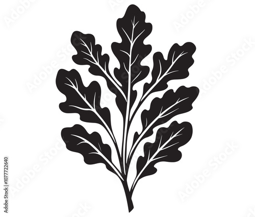 Arugula silhouette vector, Leaf silhouette icon, Arugula vegetable leaf illustration