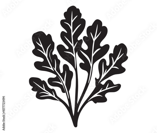 Arugula silhouette vector, Leaf silhouette icon, Arugula vegetable leaf illustration