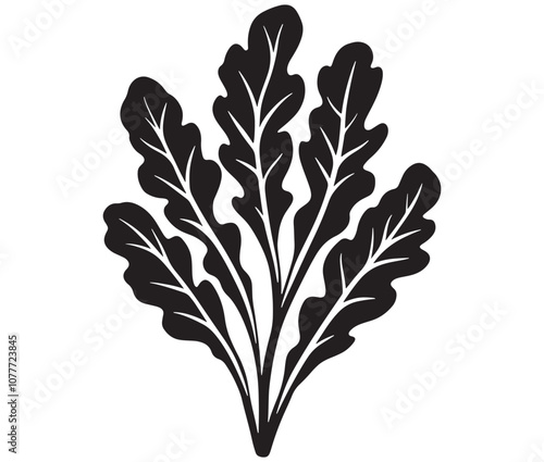 Arugula silhouette vector, Leaf silhouette icon, Arugula vegetable leaf illustration
