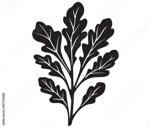 Arugula silhouette vector, Leaf silhouette icon, Arugula vegetable leaf illustration