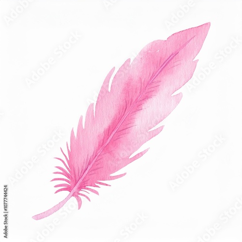 pink watercolor feather isolated on white