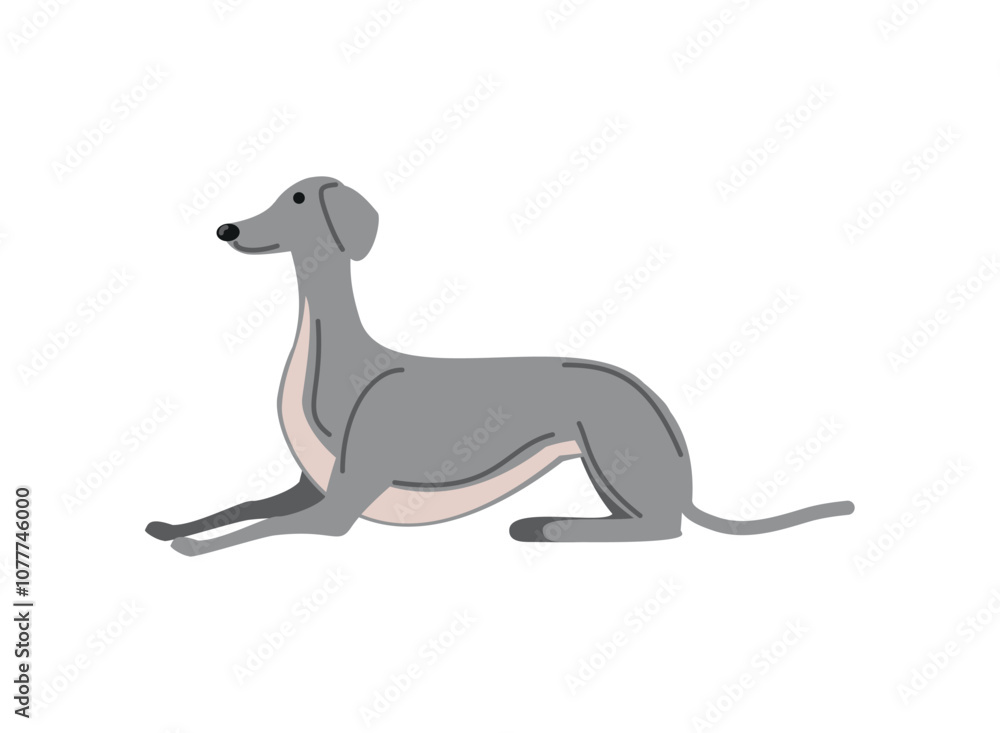 Naklejka premium greyhound dog pet animal icon