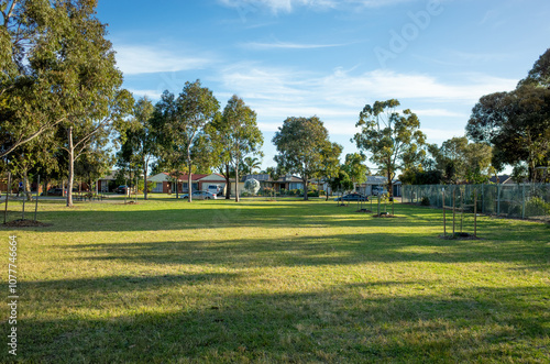 A suburban park with lush green grass stretches towards a row of homes in the distance in a residential neighborhood. Public vacant green outdoor space in a local parkland. Copy space for design