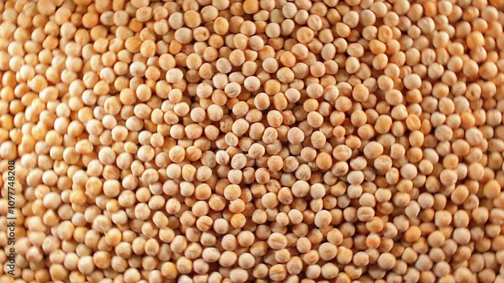 Uncooked Yellow Polished Peas: A Culinary Canvas of Dry Yellow Peas, Textured Background - Top View, Rotating. Turning Scattered Raw Polished Peas. Healthy Eating Ingredients - Rotation Uncooked Yellow Polished Peas: A Culinary Canvas of Dry Yellow Peas, Textured Background - Top View, Rotating. Turning Scattered Raw Polished Peas. Healthy Eating Ingredients - Rotation