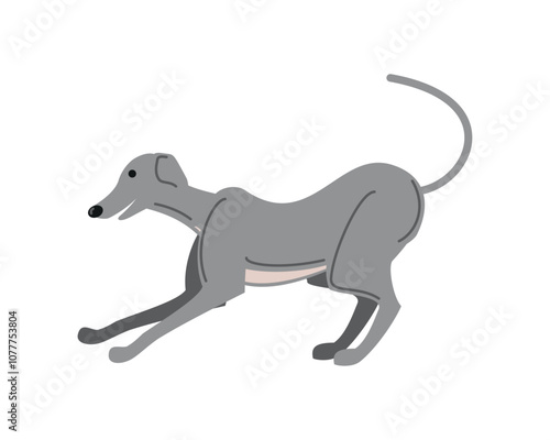 greyhound dog pet icon