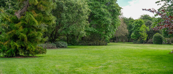 Panoramic background texture of a lush green lawn surrounded by diverse mature trees. Peaceful landscaped garden with large outdoor space. Copy space for design.