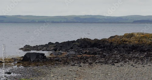 exposed rocks at low tide on Stairhaven Beach photo