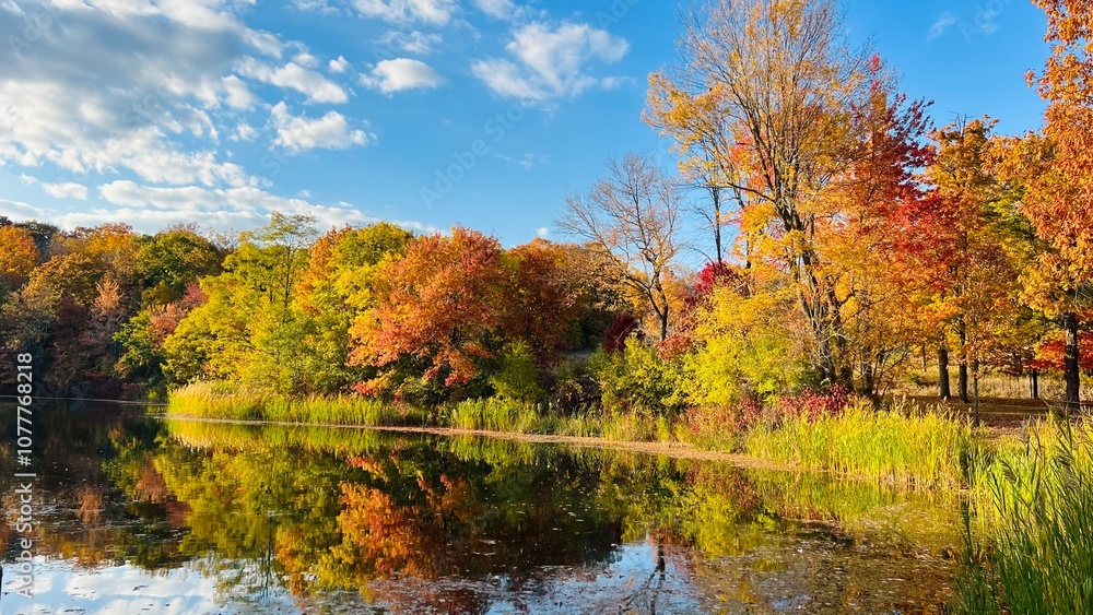 autumn, golden season in upstate New York autumn, golden season in upstate New York