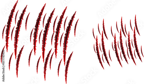 Claws scratches. Monster claw animal slash marks on white background vector illustration.