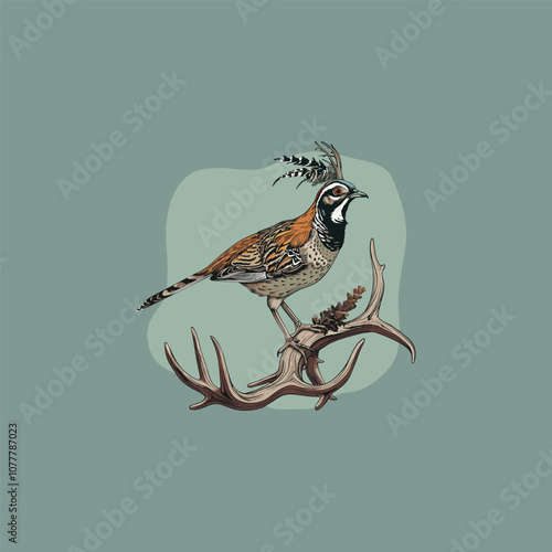 Quail bird perched on antler logo design vector photo