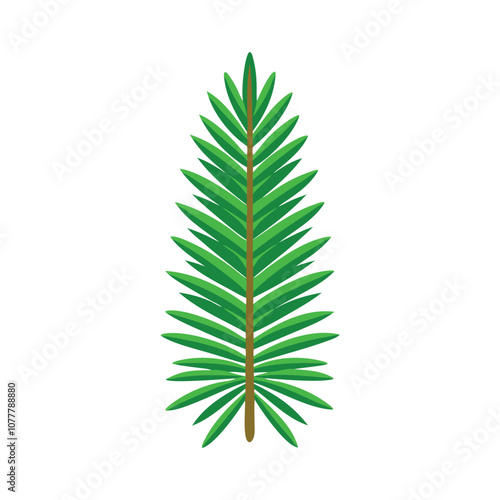 Green fir tree spruce branch isolated flat vector illustration white background