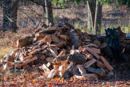 Large stack of firewood in the woods 