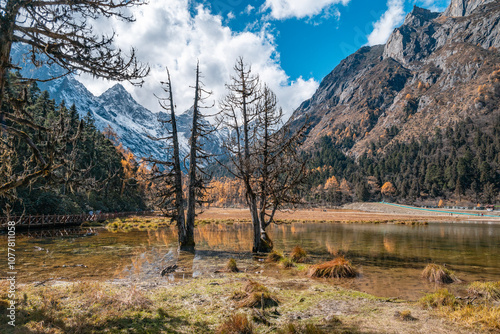 SiChuang province bipenggou's autumn in the forest photo