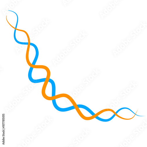 Braided  intertwined lines