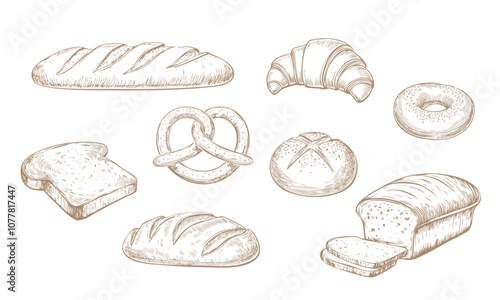 Collection of various types of bread. Pen drawing illustration.  Baguette, croissant, loaf, toast, pretzel, bagel.
