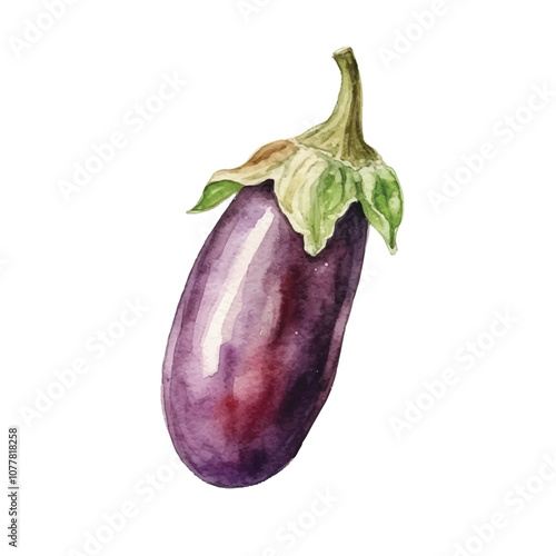 Aubergine watercolor clipart illustration isolated