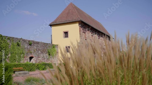 A cinematic wide shot of the Blieskastel Orangerie in summer, showcasing traditional architecture with lush greenery in the foreground, captured in slow motion for a serene atmosphere. photo