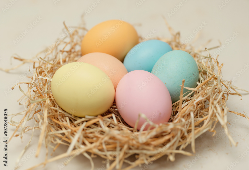 Pastel-colored Easter eggs in a straw nest with floral touch Pastel-colored Easter eggs in a straw nest with floral touch