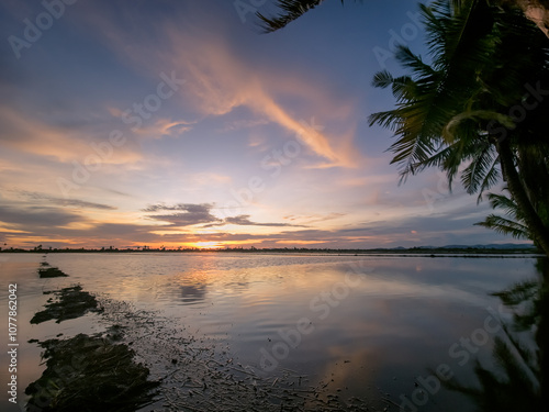 Spring paddy field with water that reflects the setting sun. photo