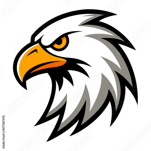 Eagle head vector art illustration photo