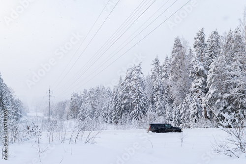 Driving car in winter forest covered with white fluffy snow. Pine trees and spruce peaceful landscape on countryside. Snowfall. Serenity scene. Snowy road.