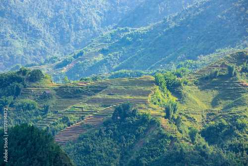 The scenery of Sa Pa - a famous beautiful tourist city in Northern Vietnam - is like the scenery of the Alps in Europe. photo